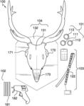Animal skull illumination kit