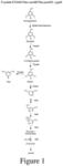 Conversion of S-lignin compounds to useful intermediates