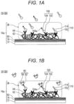 Method for estimating Gleason score of prostate cancer, method for estimating pathological stage, and method for acquiring supplementary information, all on the basis of specific PSA content in specimen