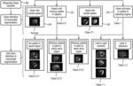 Heart segmentation methodology for cardiac motion correction