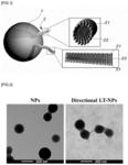 NANOPARTICLE COMPLEX SHOWING IMPROVED CELLULAR UPTAKE THROUGH SURFACE MODIFICATION USING LIPID AND MANUFACTURING METHOD THEREFOR