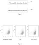 Polypeptide and use thereof