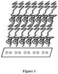 MULTIVALENT BINDING COMPOSITION FOR NUCLEIC ACID ANALYSIS