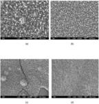Cell rupture-based antimicrobial surfaces coated with metal oxide nano-arrays
