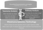 SYSTEMS AND METHODS FOR MICROBIOME ANALYSIS