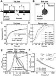 Epidermal devices for analysis of temperature and thermal transport characteristics