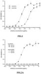 Anti-PD-1 antibody and use thereof