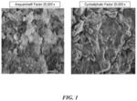 ZINC-RICH WATERBORNE EPOXY COATING COMPOSITION AND METHODS