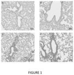 ICE-BASED LIPID NANOPARTICLE FORMULATION FOR DELIVERY OF MRNA