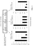 Long chain antigen containing interepitope sequence that promotes antigen presentation to T cells