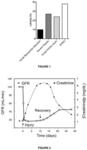Method for the early detection of acute kidney injury in critical patients, using fibroblast growth factor 23, klotho and erythropoietin as biomarkers