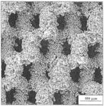 Laser-produced porous surface