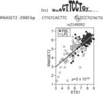 Methods of diagnosing inflammatory bowel disease through RNASET2