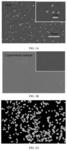 RECOMBINANT HUMAN COLLAGEN-BASED MULTIFUNCTIONAL STENT COATING AND PREPARATION METHOD THEREOF