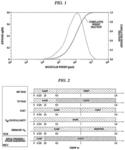 Enhanced Processability of LLDPE by Addition of Ultra-High Molecular Weight Density Polyethylene