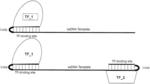 COMPOSITIONS FOR GENOME EDITING