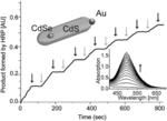 Hybrid nanoparticles as photoinitiators