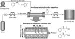 MULTI-FUNCTIONALIZED HOLLOW FIBER ORGANOCATALYSTS