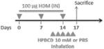 Cyclodextrin for use in the treatment and prevention of late phase bronchoconstriction in allergen-induced asthma