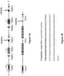 Altering gene expression in modified T cells and uses thereof