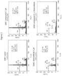 PHARMACEUTICAL COMBINATION FOR THE TREATMENT OF MELANOMA