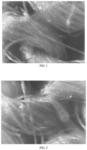 Hot melt fibers for antimicrobials and their preparation methods