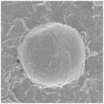 METHOD OF PRODUCING POLYAMIDE FINE PARTICLES, AND POLYAMIDE FINE PARTICLES