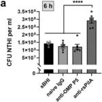 METHODS FOR DETERMINING ANTIBIOTIC SENSITIVITY