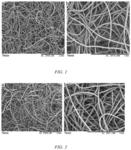 WATER-REPELLENT AND LIPOPHILIC COMPOSITE NEEDLE-PUNCHED NONWOVEN FABRIC AND PREPARATION METHOD THEREOF