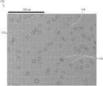 INHIBITING BACTERIA COLONIZATION WITHOUT ANTIBIOTICS