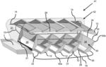 Systems and methods for manipulating fish