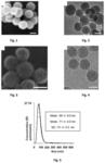 Negatively charged self-assembling supported lipid bilayer on mesoporous silica nanoparticles, method of synthesis and use as a nanovector