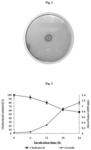 Hypolipidemic effects of Bacillus coagulans