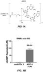 Antibody-sting agonist conjugates and their use in immunotherapy