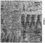 MICROSTRUCTURAL HOMOGENIZATION OF ADDITIVELY MANUFACTURED TITANIUM ARTICLES