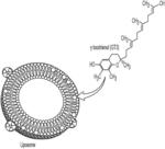 BONE MARROW-, RETICULOENDOTHELIAL SYSTEM-, AND/OR LYMPH NODE-TARGETED RADIOLABELED LIPOSOMES AND METHODS OF THEIR DIAGNOSTIC AND THERAPEUTIC USE