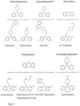 COMPOUNDS FOR TREATMENT OF HEPACI VIRUS INFECTION AND METHOD FOR DETERMINING THERAPY OF HEPACI VIRUS INFECTION, IN PARTICULAR, HCV INFECTION