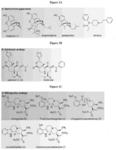 MITRAGYNINE ANALOGS AND USES THEREOF