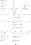 Multi-step process for converting cyclic alkyleneureas into their corresponding alkyleneamines