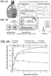 Aromatic surfactants