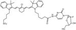 Organic Anion Transporting Peptide-Based Cancer Imaging and Therapy