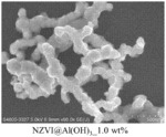 Synthesis of a thin insoluble hydroxide shell on the surface of magnetic zero-valent metal nanoparticles for environmental remediation