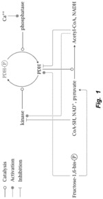 Mammalian cells devoid of lactate dehydrogenase activity