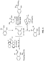 Chiral n-heterocyclic phosphorodiamidic acids (NHPAS) and derivatives as novel bronsted acid catalysts