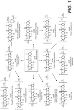 Metabolites of bictegravir