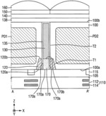 Image sensors including photoelectric conversion devices, trench, supporter, and isolation layer