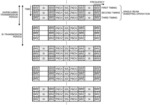 Base station, terminal, wireless communication system, and transmission/reception method