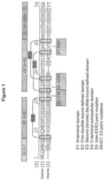 BINDING MOLECULES FOR BCMA AND CD3