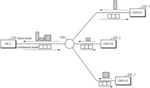 PASSIVE OPTICAL NETWORK SYSTEMS