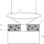 Photoexcitation method